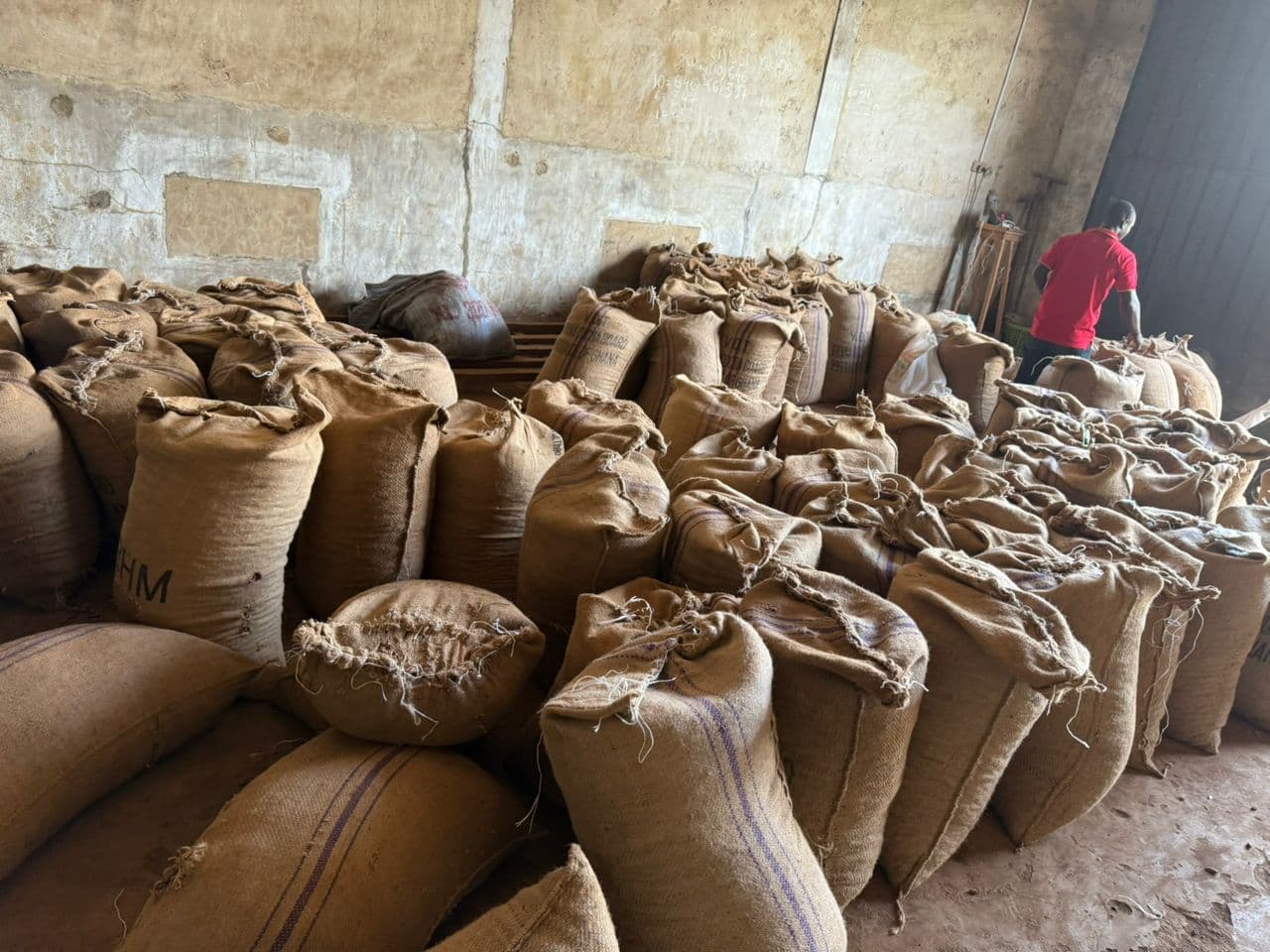 Sacks of cocoa beans stored at an NT COCO warehouse