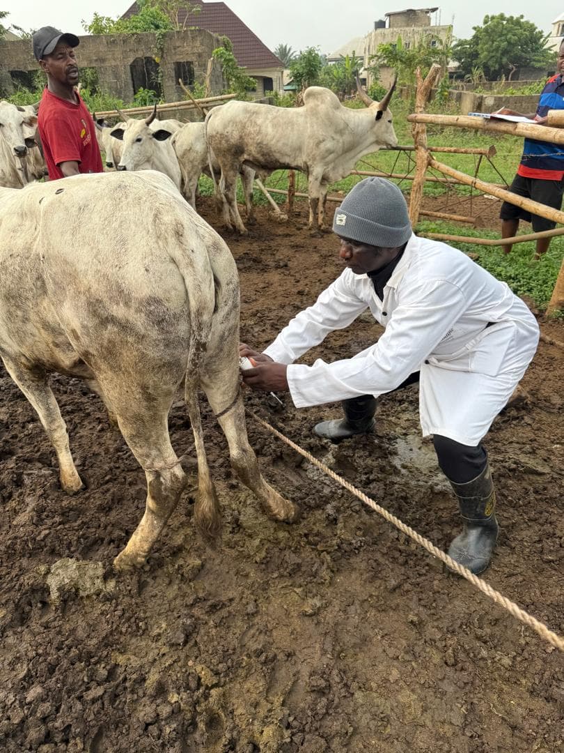Cross River Cattle Ranch Expansion